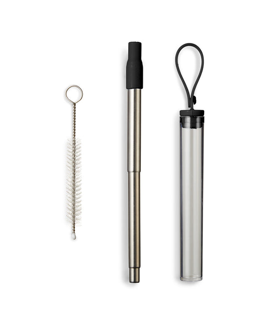 Festival Telescopic Reusable Drinking Straw Kit