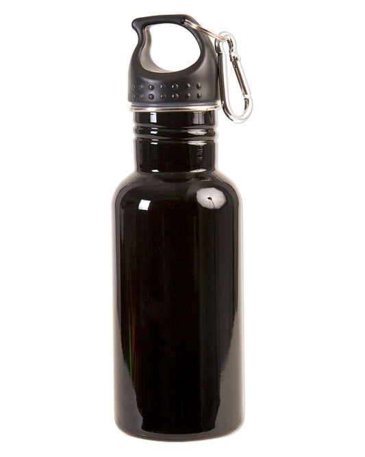 17oz Stainless Steel Adventure Water Bottle With Carabiner