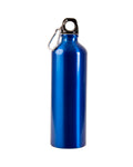 25oz Aluminum Alpine Sport Bottle